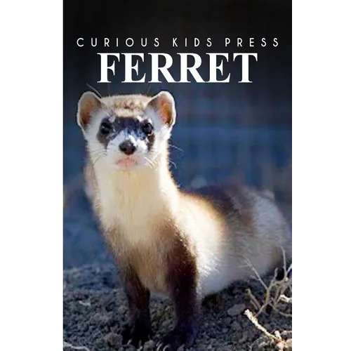 Ferret - Curious Kids Press: Kids book about animals and wildlife, Children's books 4-6 - Paperback