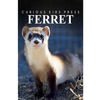 Ferret - Curious Kids Press: Kids book about animals and wildlife, Children's books 4-6 - Paperback