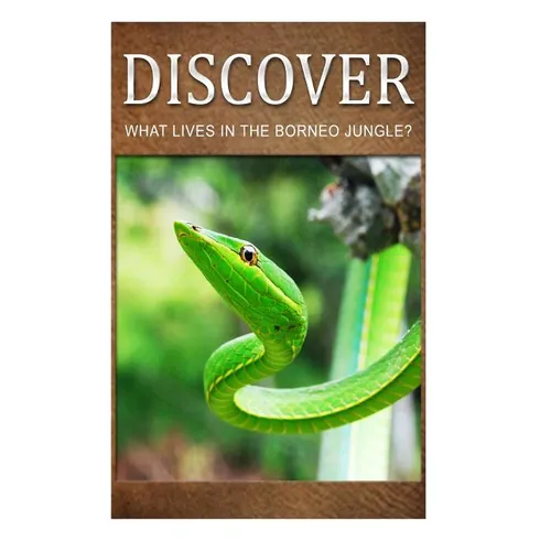 What Lives in the Borneo Jungle? - Discover: Early reader's wildlife photography book - Paperback