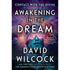 Awakening in the Dream: Contact with the Divine - Paperback