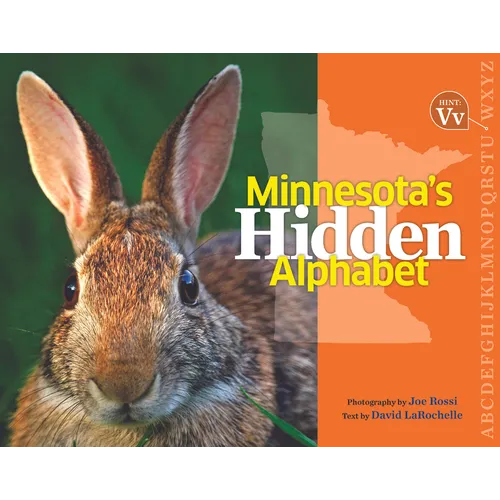 Minnesota's Hidden Alphabet - Hardcover