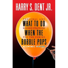What to Do When the Bubble Pops: Personal and Business Strategies for the Coming Economic Winter - Paperback