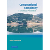 Computational Complexity - Hardcover