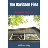 The Davidson Files: Shanghai Surprise - Paperback