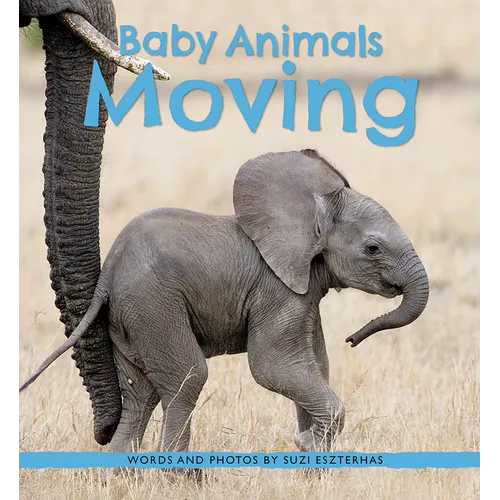 Baby Animals Moving - Paperback