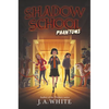 Phantoms - Hardcover