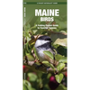 Maine Birds: A Folding Pocket Guide to Familiar Species - Paperback