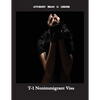 T-1 Nonimmigrant Visa: Being a victim of sex trafficking or work exploitation can result in getting a T Visa - Paperback