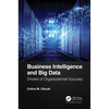 Business Intelligence and Big Data: Drivers of Organizational Success - Hardcover