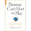 The Storms Can't Hurt the Sky: The Buddhist Path through Divorce - Paperback