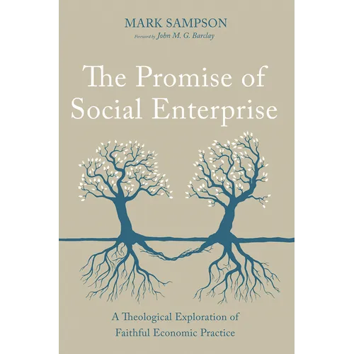 The Promise of Social Enterprise: A Theological Exploration of Faithful Economic Practice - Paperback