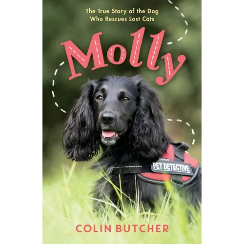 Molly: The True Story of the Dog Who Rescues Lost Cats - Paperback