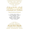 Gratitude: a Journey of the Soul: Twenty-Two Stories of Gratitude - Paperback