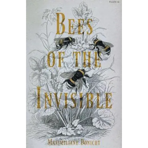 Bees of the Invisible - Paperback