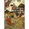 Morning in the bowl of night - Paperback