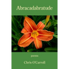 Abracadabratude - Paperback