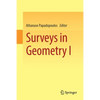 Surveys in Geometry I - Paperback