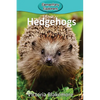 Hedgehogs - Paperback