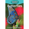 Butterflies - Hardcover