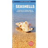 Seashells, 2nd Ed: A Folding Pocket Guide to Familiar North American Species - Paperback