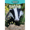 Badgers - Paperback