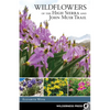 Wildflowers of the High Sierra and John Muir Trail - Paperback