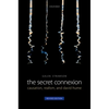 Secret Connexion: Causation, Realism, and David Hume (Revised, Updated) - Paperback
