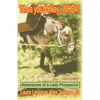 Whoa you donkey . . . WHOA! - Paperback
