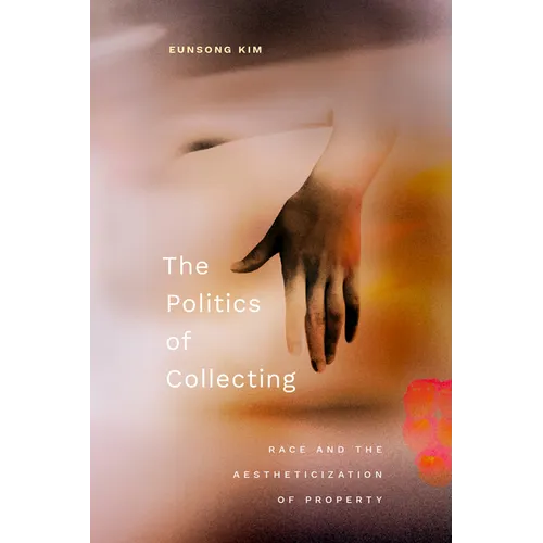 The Politics of Collecting: Race and the Aestheticization of Property - Hardcover