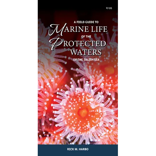 A Field Guide to Marine Life of the Protected Waters of the Salish Sea - Paperback