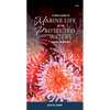 A Field Guide to Marine Life of the Protected Waters of the Salish Sea - Paperback