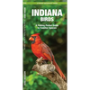 Indiana Birds: An Introduction to Familiar Species
