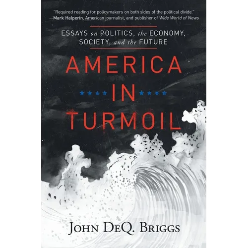 America in Turmoil: Essays on Politics, the Economy, Society, and the Future - Paperback