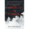 America in Turmoil: Essays on Politics, the Economy, Society, and the Future - Paperback