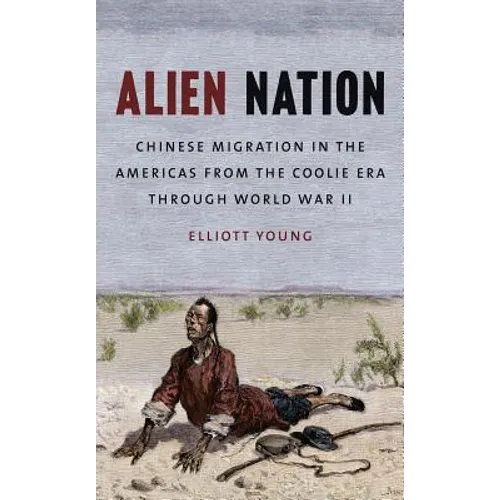 Alien Nation: Chinese Migration in the Americas from the Coolie Era Through World War II - Paperback