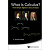 What Is Calculus?: From Simple Algebra to Deep Analysis - Hardcover