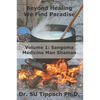 Beyond Healing We Find Paradise: Sangoma Medicine Man Shaman - Paperback