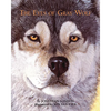 The Eyes of Gray Wolf - Paperback