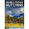 Switchback: A Patrick Flint Novel - Paperback