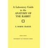 A Laboratory Guide to the Anatomy of the Rabbit: Second Edition - Paperback