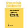Algebraic Groups and Class Fields - Paperback