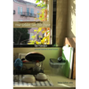 Your Golden Sun Still Shines: San Francisco Personal Histories and Small Fictions - Paperback