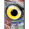 Birdland - Hardcover