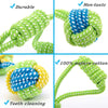 Outdoor Training Toy for Dogs