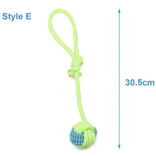 Buy style-e Outdoor Training Toy for Dogs