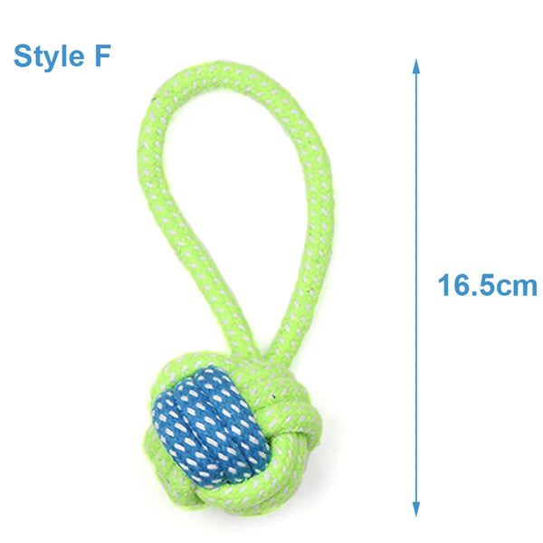 Outdoor Training Toy for Dogs