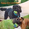 Outdoor Training Toy for Dogs