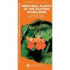 Medicinal Plants of the Eastern Woodlands: A Folding Pocket Guide to Familiar Species