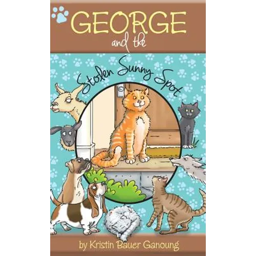 George and the Stolen Sunny Spot - Hardcover
