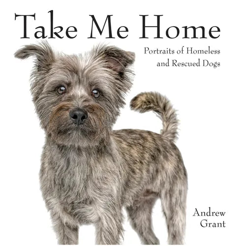 Take Me Home: Portraits of Homeless and Rescued Dogs - Hardcover